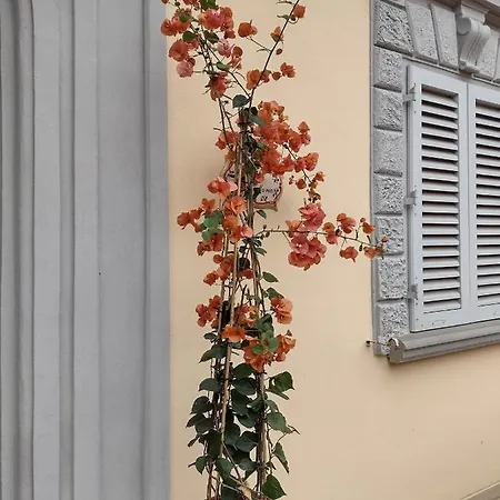 Bercos Deluxe Appartement Prato (Prato)