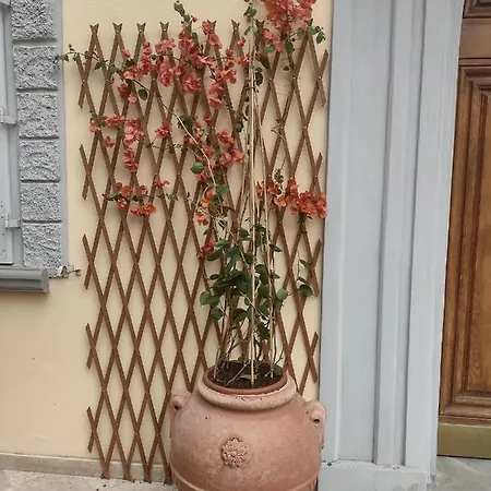 Appartement Bercos Deluxe *